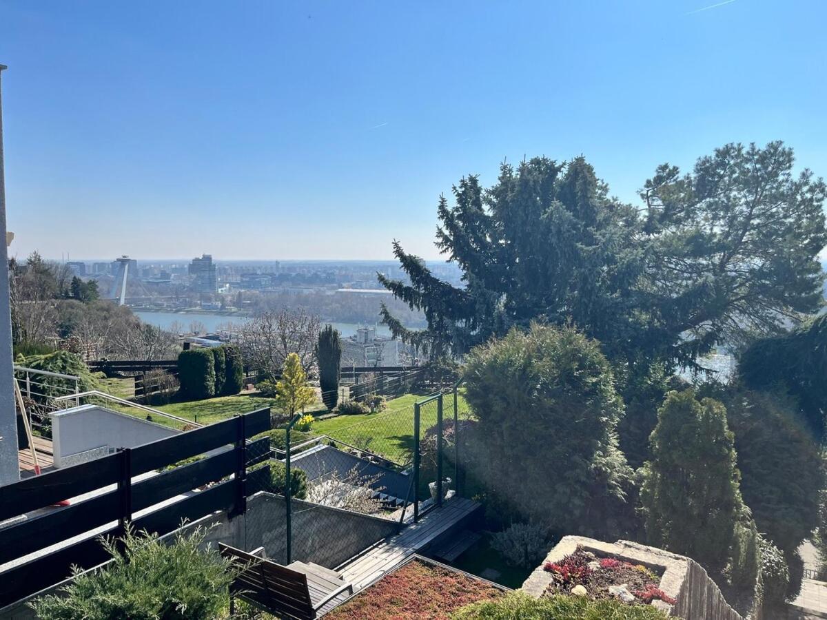 Amazing View Of The River Donau * Pressburg