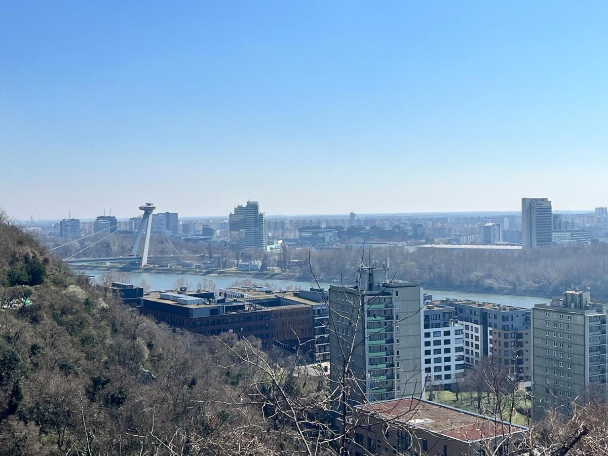Amazing View Of The River Donau Apartment Pressburg